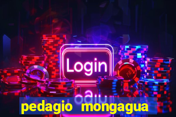 pedagio mongagua sao paulo