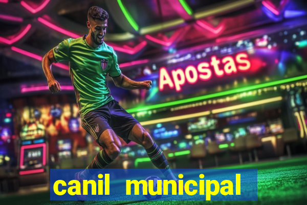 canil municipal porto alegre