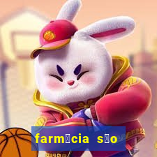 farm谩cia s茫o paulo sarandi