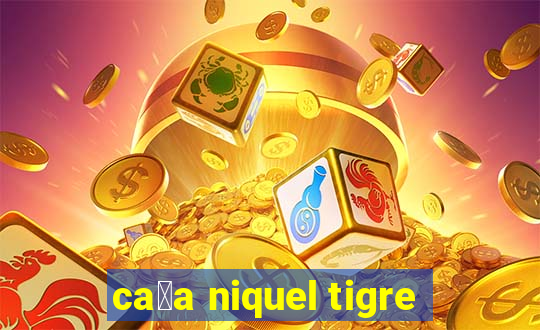 ca莽a niquel tigre