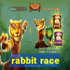 rabbit race