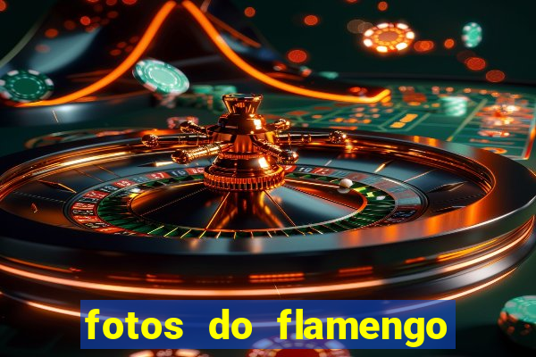 fotos do flamengo para perfil