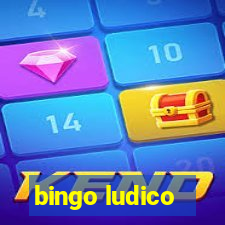 bingo ludico