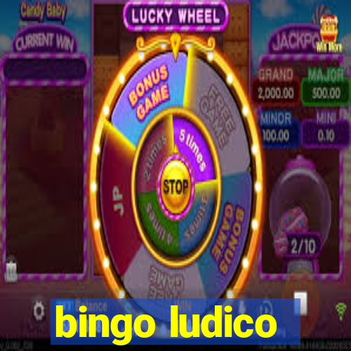 bingo ludico