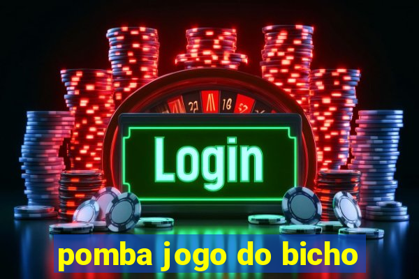 pomba jogo do bicho