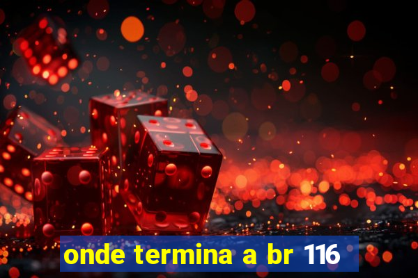 onde termina a br 116