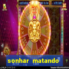 sonhar matando porco pequeno