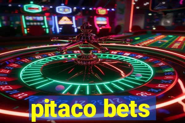 pitaco bets