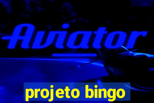 projeto bingo