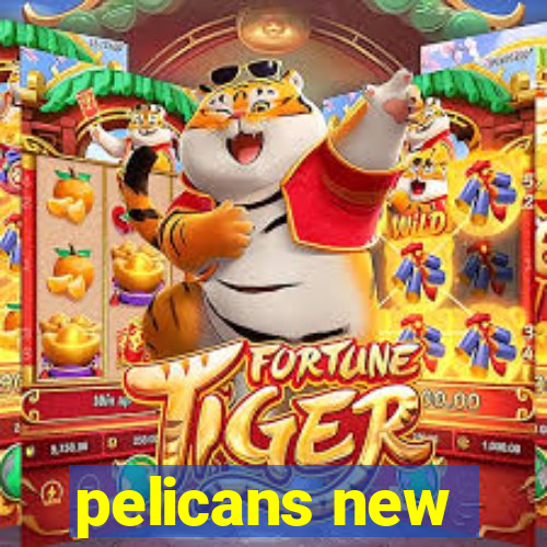 pelicans new