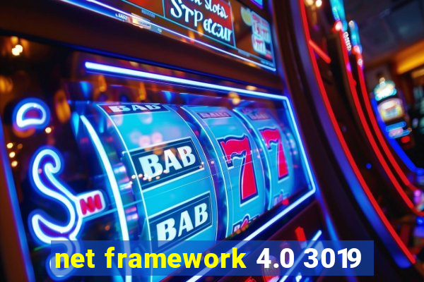 net framework 4.0 3019