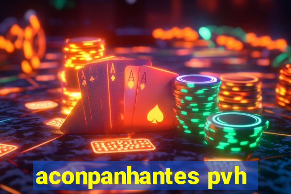 aconpanhantes pvh