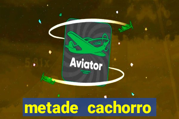 metade cachorro metade gato