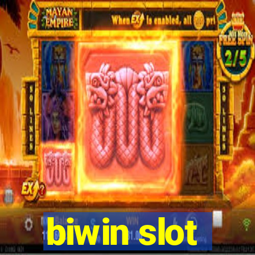 biwin slot