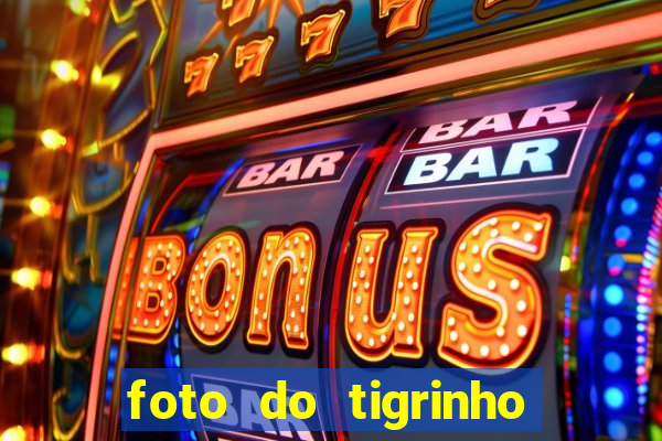 foto do tigrinho do jogo